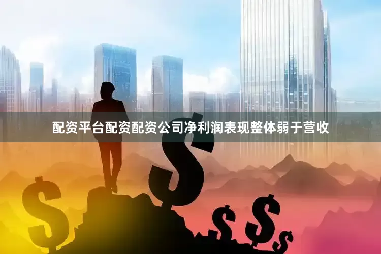 配资平台配资配资公司净利润表现整体弱于营收