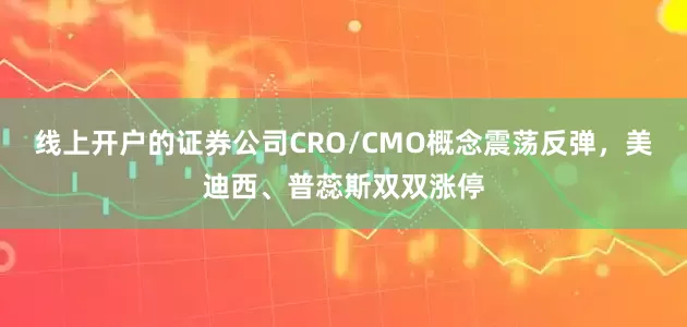 线上开户的证券公司CRO/CMO概念震荡反弹，美迪西、普蕊斯双双涨停