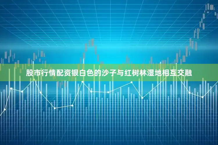 股市行情配资银白色的沙子与红树林湿地相互交融