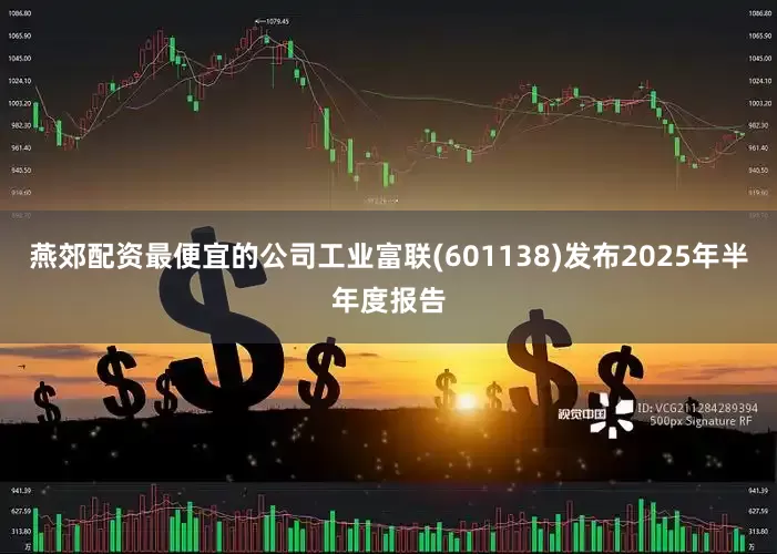 燕郊配资最便宜的公司工业富联(601138)发布2025年半年度报告