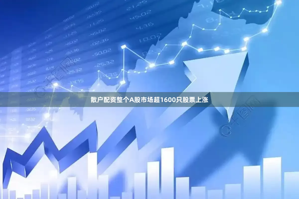 散户配资整个A股市场超1600只股票上涨